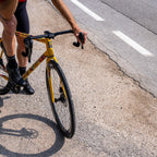 Dario Pegoretti Elio Steel XCR Road Frameset