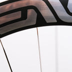 ENVE SES 4.5 Pro 碳纤维碟刹轮组 - 银色