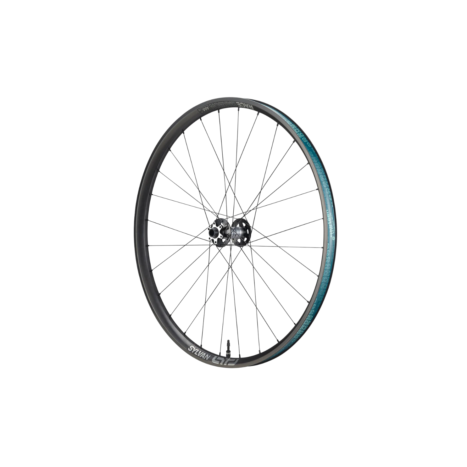 e*thirteen Grappler Sidekick Flux Carbon Enduro Wheels - 29"