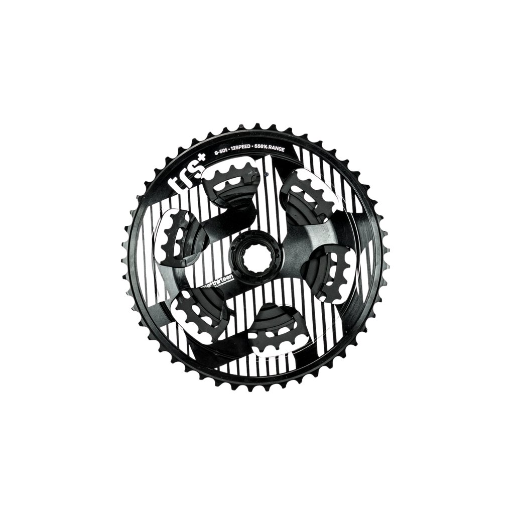 e*thirteen TRS Plus 12 Speed 9-46T Cassette