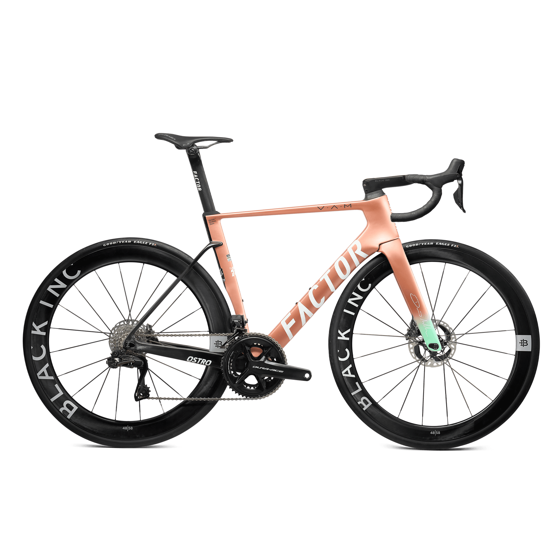 Ace cycles burpham shop