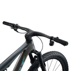 Giant Anthem Advanced SL 1 Mountain Bike - Rainbow Black