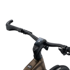 Giant Explore E+ 3 DD Electric Adventure Bike - Pyrite Brown