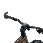 Giant Explore E+ 3 Stagger - Pyrite Brown