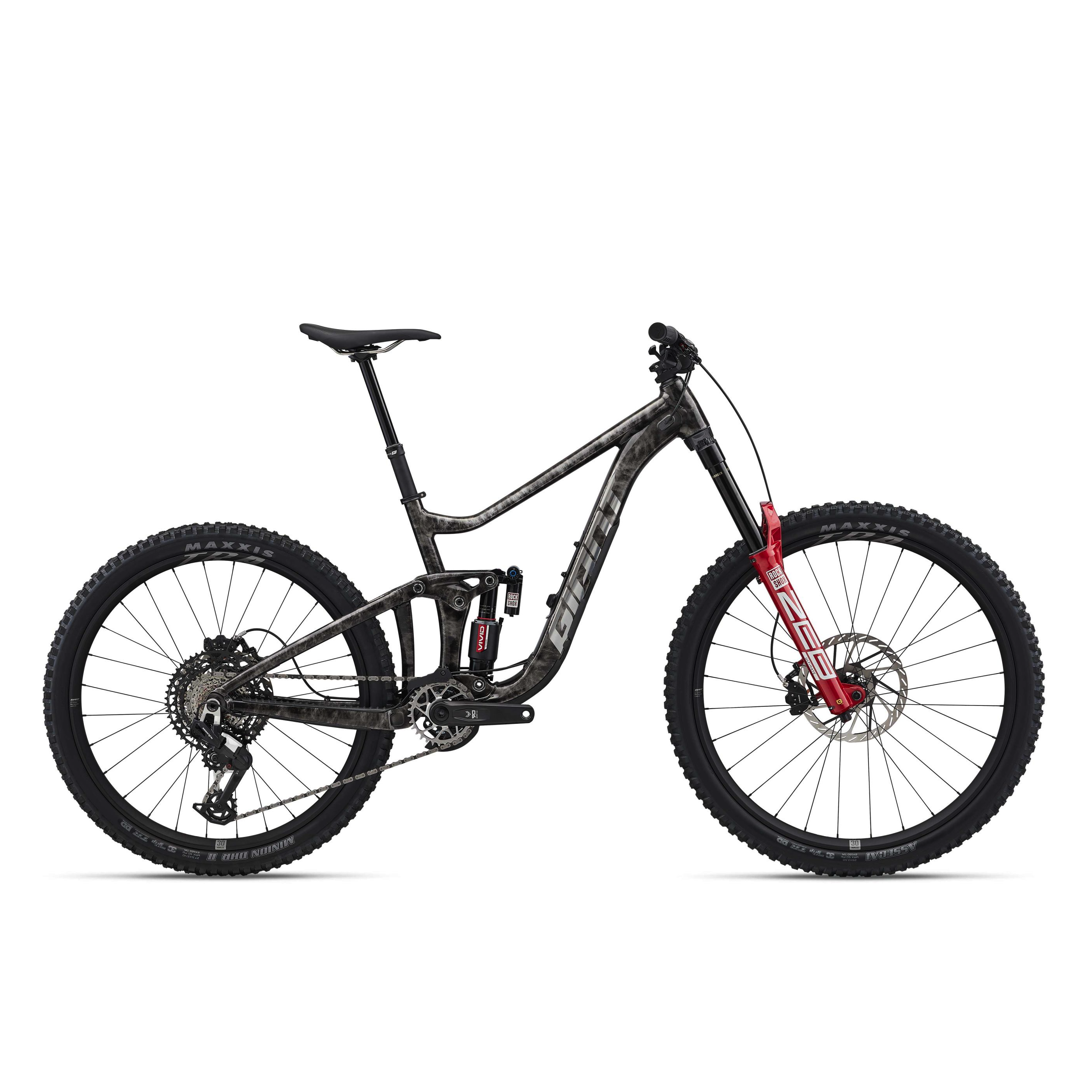 Giant Reign SE Mountain Bike - Black Lightning/Chrome