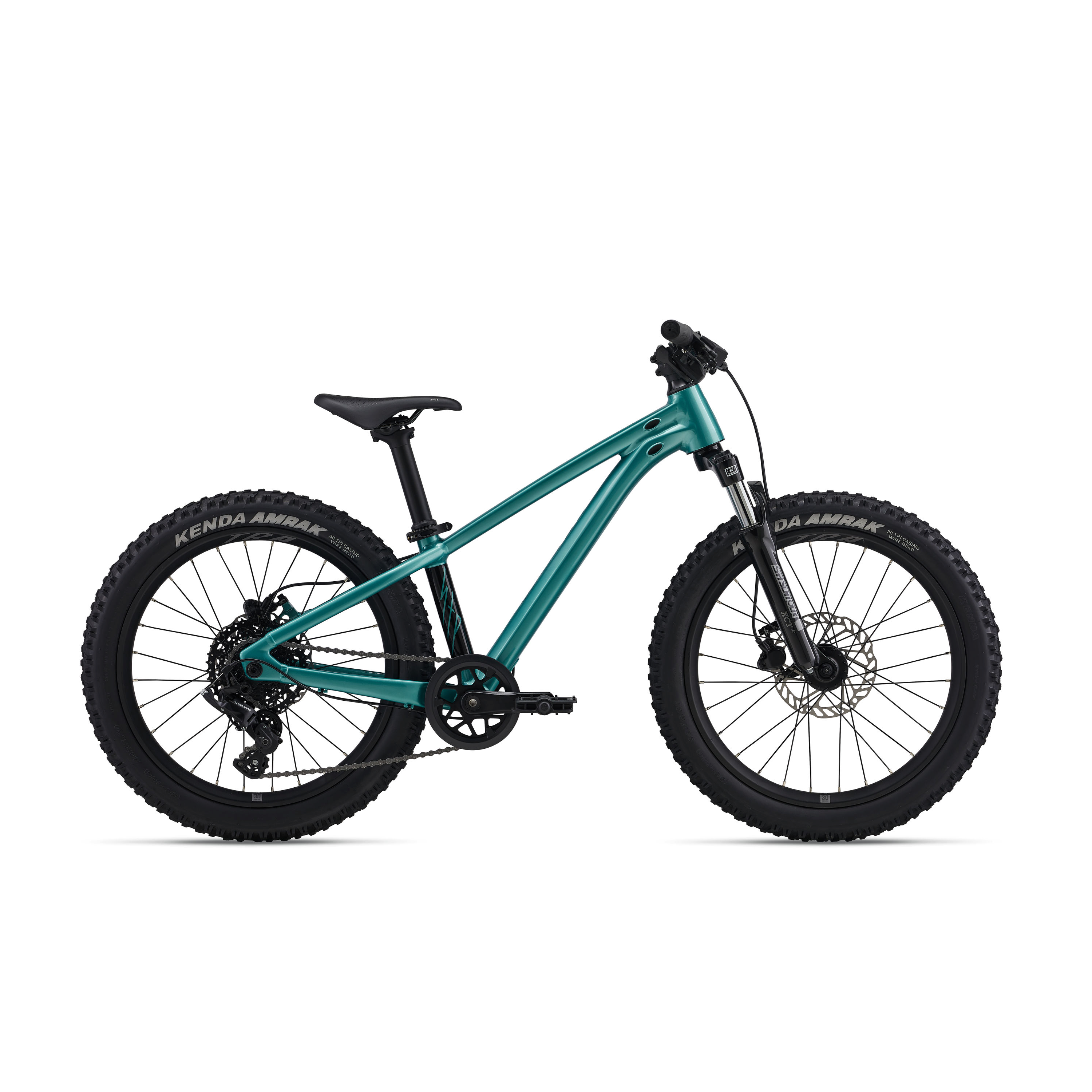 Giant STP 20 FS Mountain Bike - Teal