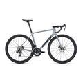 Giant TCR Advanced Pro 1 Rival AXS - Tech Silver