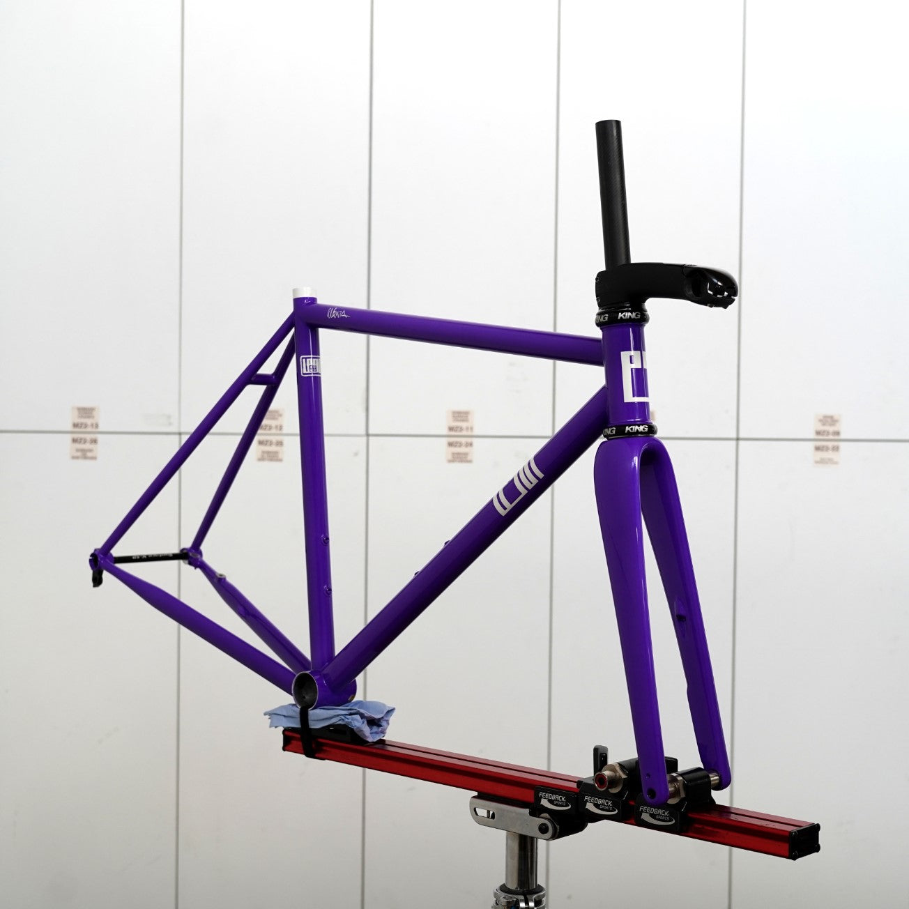 Legor Cicli Nuiorksiti+ Integrated Steel Road Disc Brake Frameset (54cm/Ultraviolet)