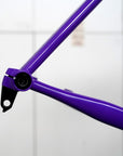 Legor Cicli Nuiorksiti+ Integrated Steel Road Disc Brake Frameset (54cm/Ultraviolet)