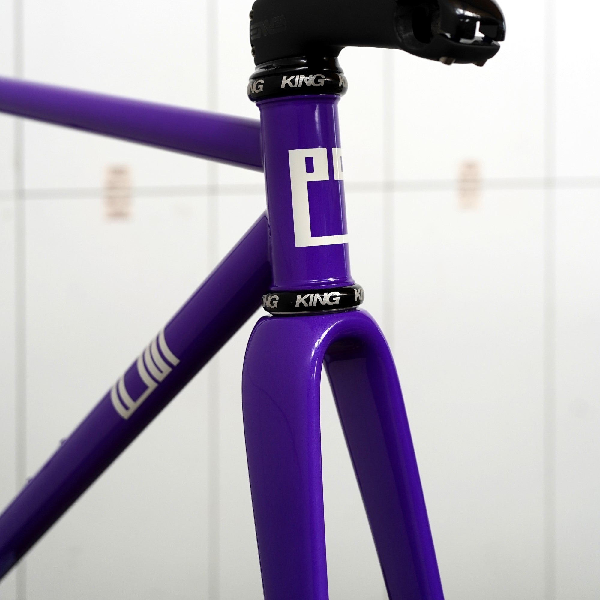 Legor Cicli Nuiorksiti+ Integrated Steel Road Disc Brake Frameset (54cm/Ultraviolet)