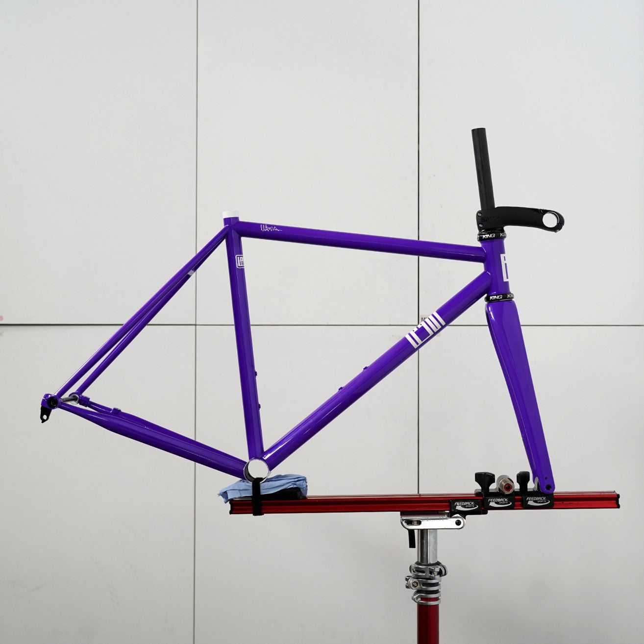 Legor Cicli Nuiorksiti+ Integrated Steel Road Disc Brake Frameset (54cm/Ultraviolet)