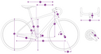 Liv Langma Advanced Pro 1 Disc-PC 公路车 - Golden Haze