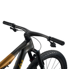 Liv Pique Advanced SL 0 Mountain Bike - Raw Carbon/Steampunk