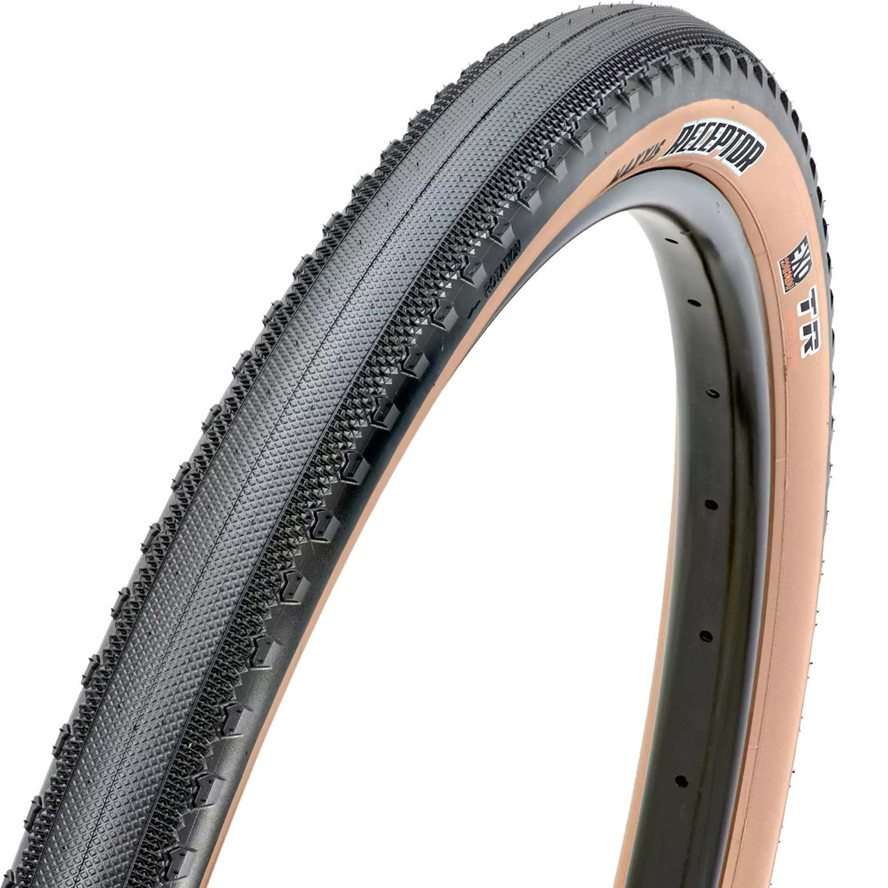 maxxis-receptor-exo-tr-gravel-tyre-tan-wall