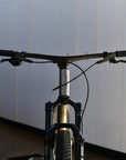 Preloved / No22 Old King XC 29" Hardtail MTB Bike