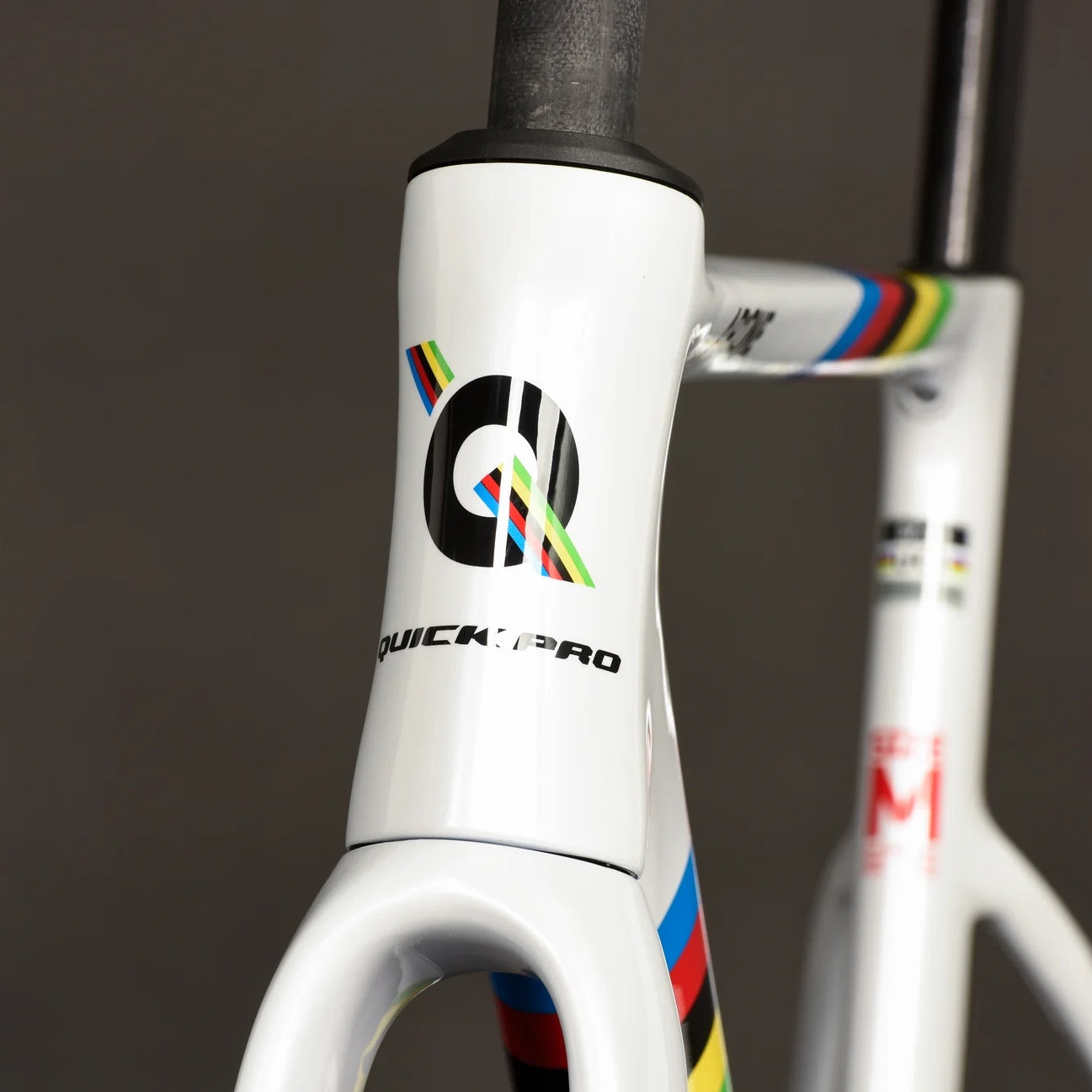 Quick Pro AR:ONE Road Frameset - World Champion Limited Edition