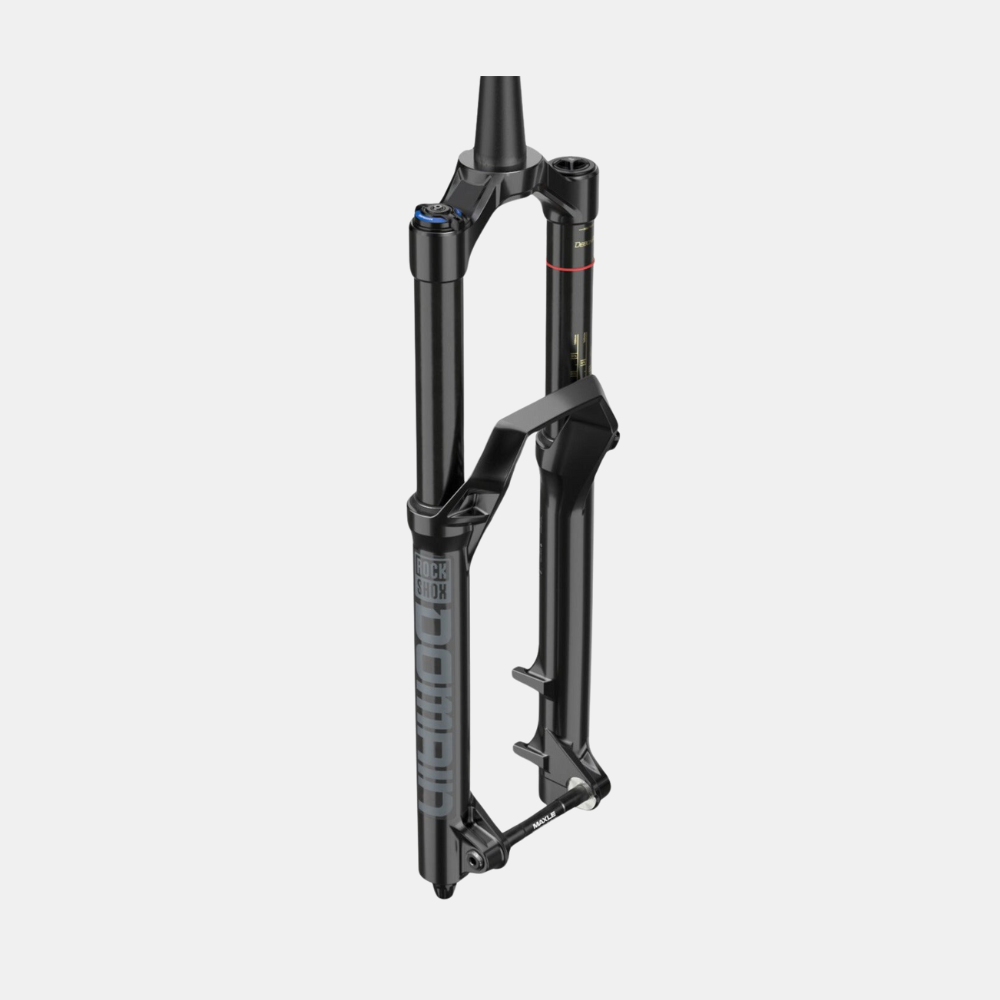 rockshox-domain-rc-29-boost-fork-170mm-black