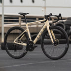 SEKA Spear Carbon Road Disc Frameset - Cosmic Beige