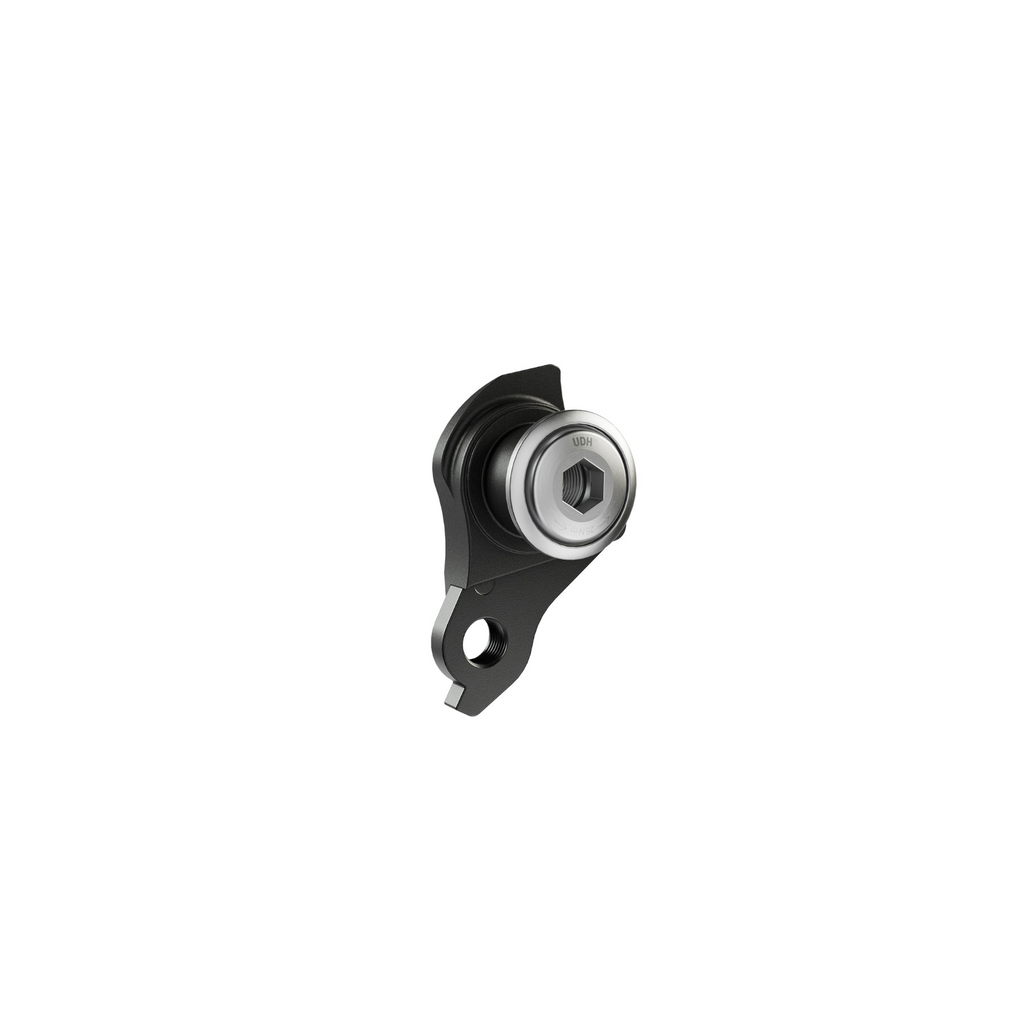 SRAM Universal Derailleur Hanger - Black/Silver
