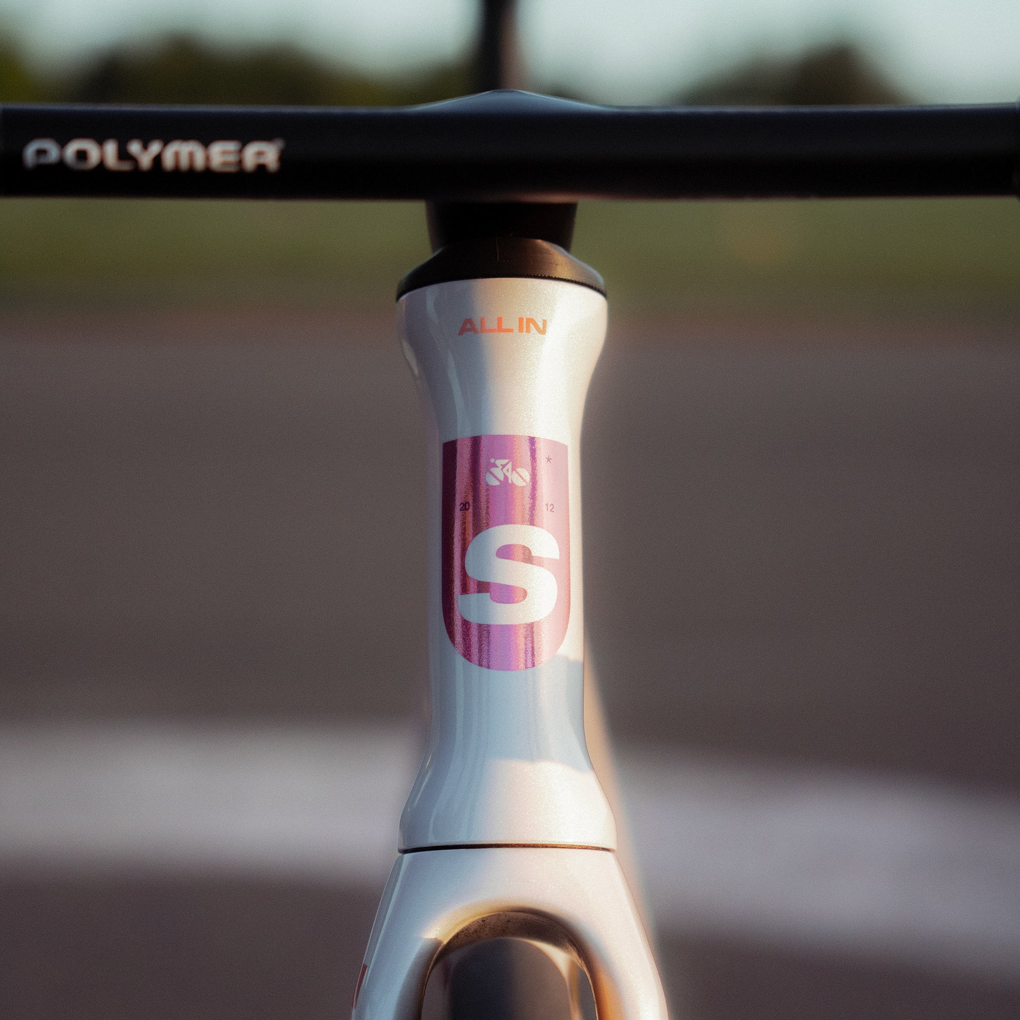 Standert Kreissäge RS Aero Frameset - Preorder