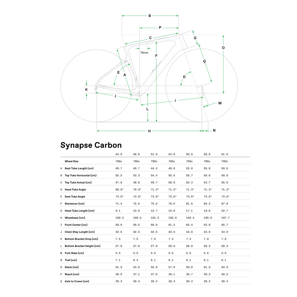 Cannondale Synapse Carbon 2 耐力自行车 - 灰色
