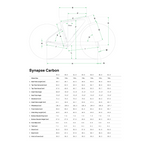 Cannondale Synapse Carbon 2 耐力自行车 - 灰色