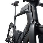 Giant Trinity Advanced SL 1 - 碳纤维/哑光碳纤维