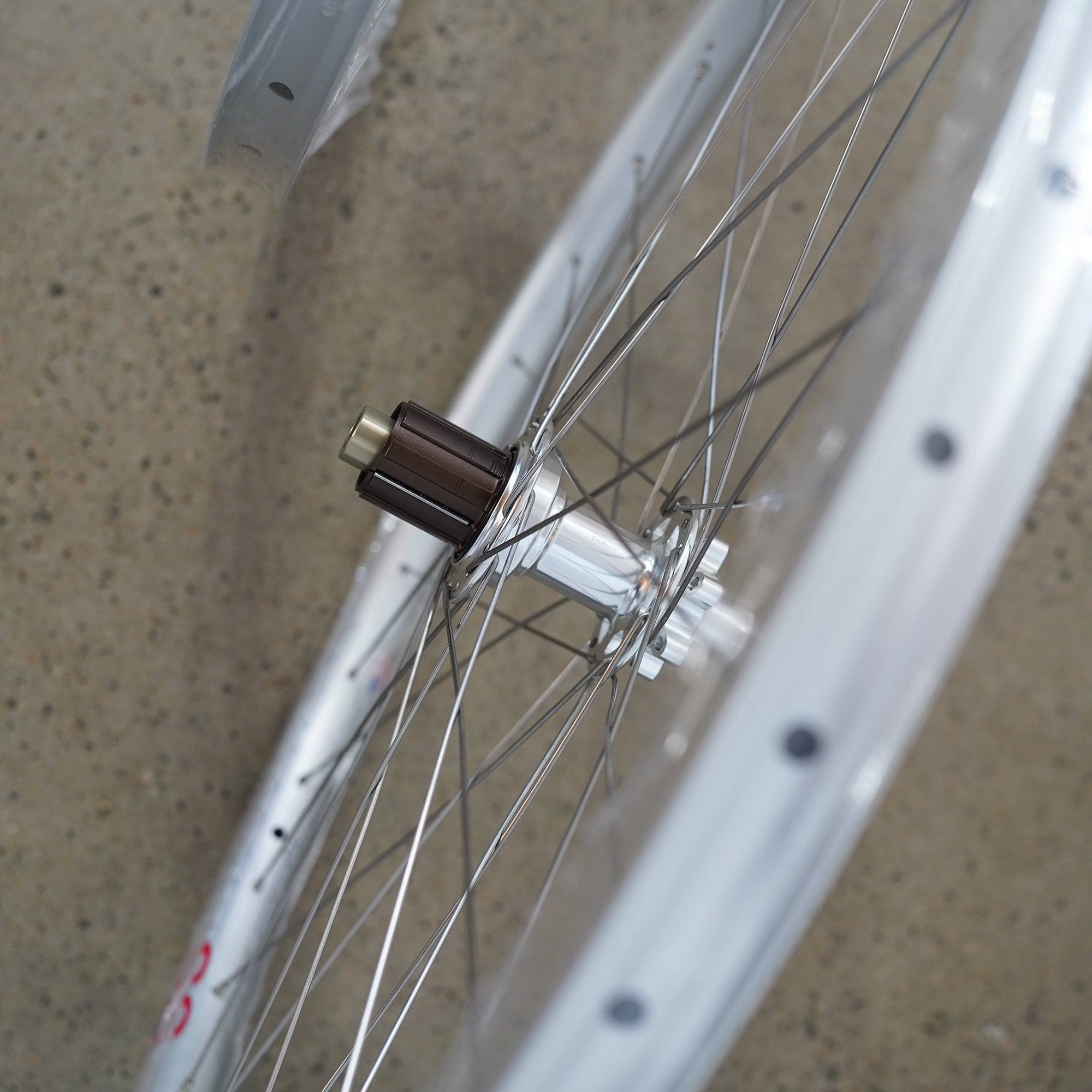 Velocity Blunt SS 650b Silver Wheelset