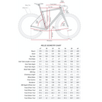 enve-melee-road-frameset-damascus-geometry