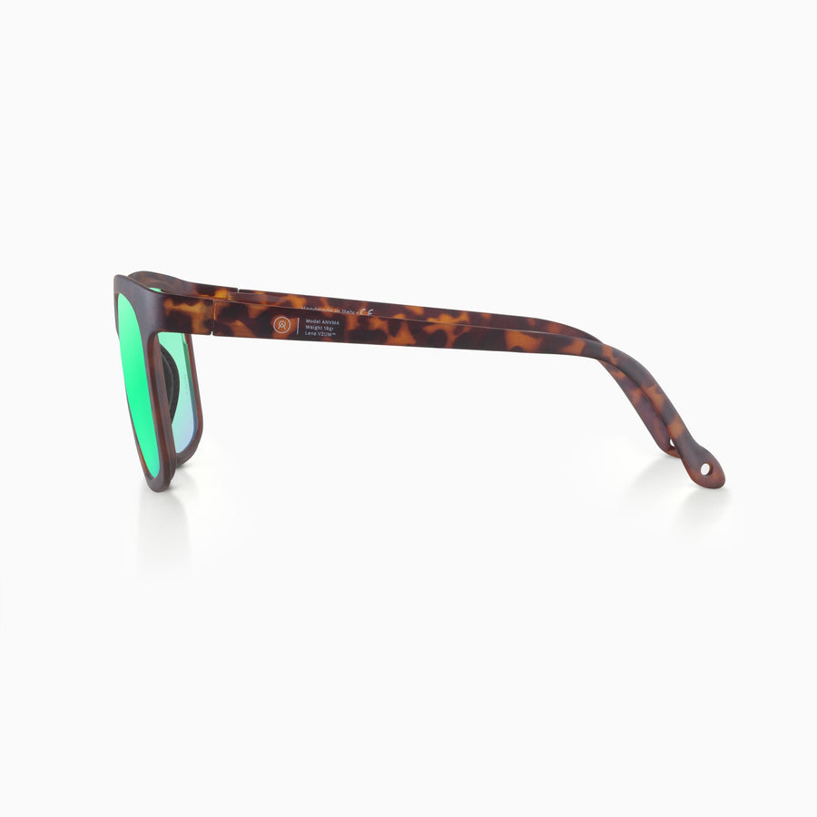 alba-optics-anvma-sunglasses-sequoia-vzum-beetle-photochromatic-lens-side