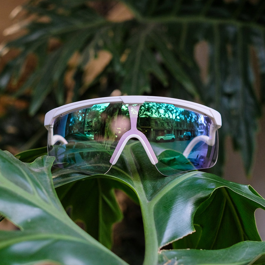 alba-optics-delta-sunglasses-white-vzum-beetle-photochromatic-lens