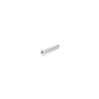 Carbon-Ti X-Cap Replacement Torx Bolt - CCACHE