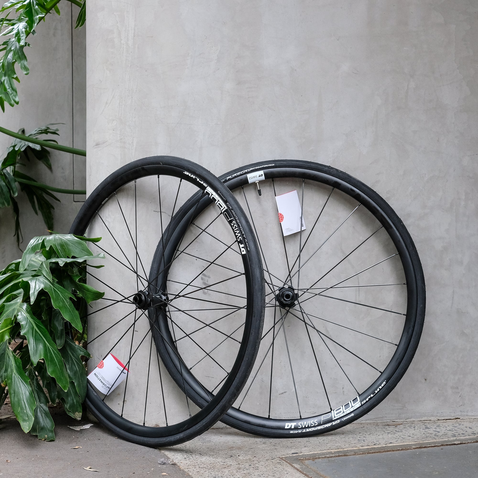 DT Swiss P1800 SPLINE 23 碟刹轮组