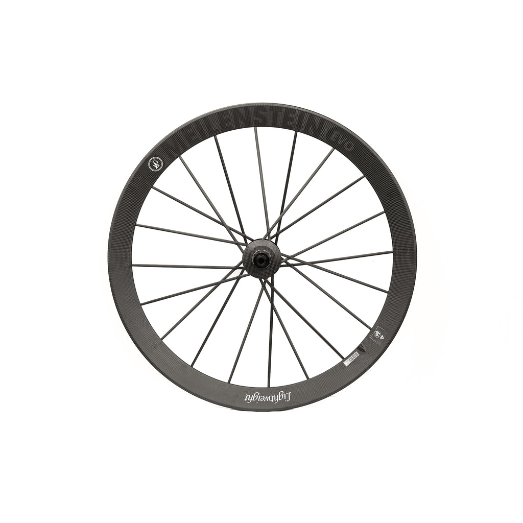 lightweight-meilenstein-evo-disc-brake-tubeless-wheelset-rear