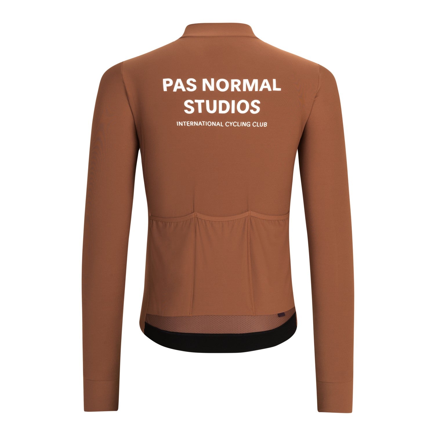 pas-normal-studios-long-sleeve-jersey-hazel-rear